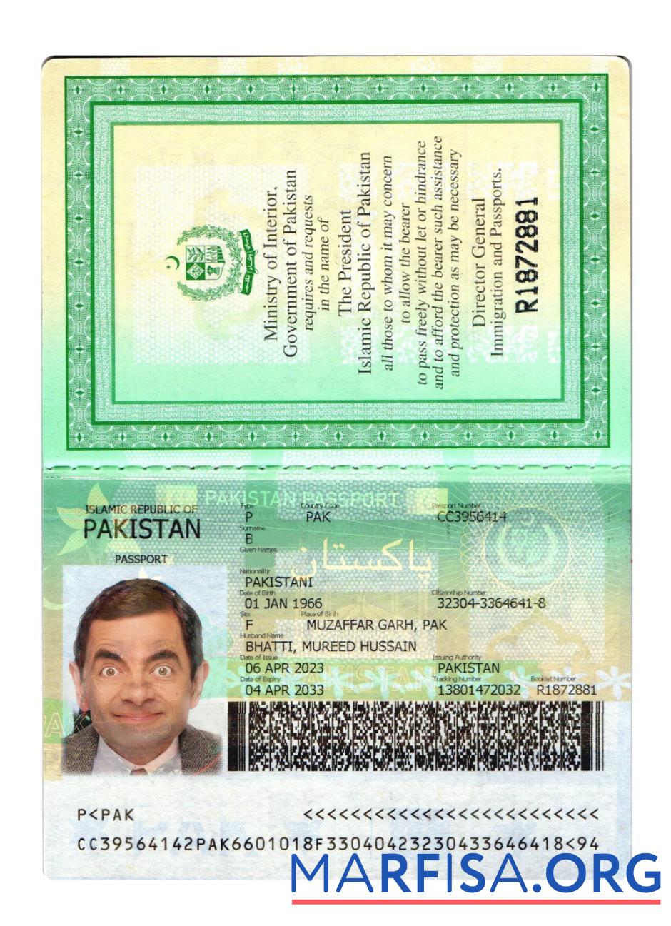 Blank Pakistan passport 2023 present version 2 template